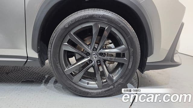 Lexus NX350h 2025 — Şəkil 5/20
