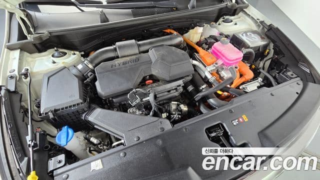 Kia Sportage 2025 — Şəkil 6/20