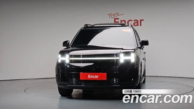 Hyundai Santa Fe 2025 — ფოტო 3/20