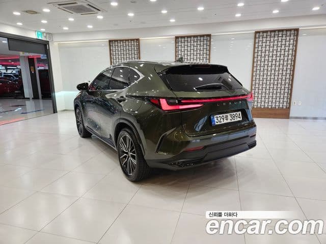 Lexus NX350h 2025 — ფოტო 2/15