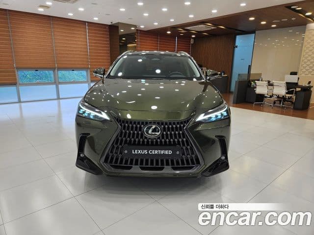 Lexus NX350h 2025 — ფოტო 3/15