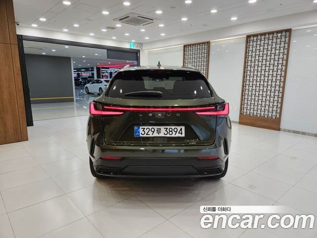 Lexus NX350h 2025 — ფოტო 4/15