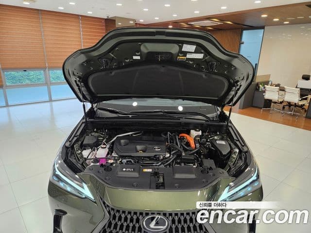 Lexus NX350h 2025 — ფოტო 15/15