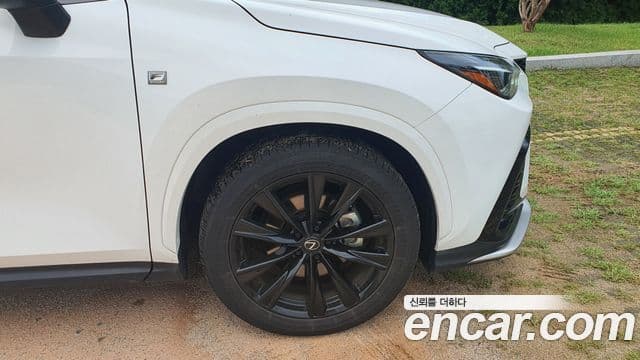 Lexus NX450h+ 2025 — Şəkil 13/17