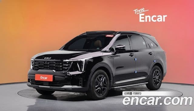 Kia Sorento 2024 — ფოტო 15/34