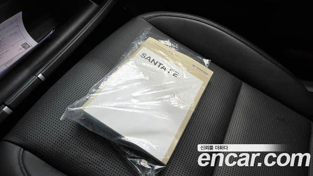 Hyundai Santa Fe 2024 — ფოტო 6/37