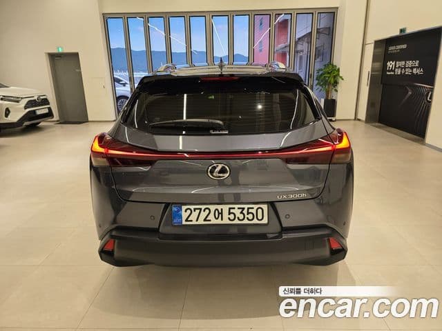 Lexus UX300h 2025 — ფოტო 8/15