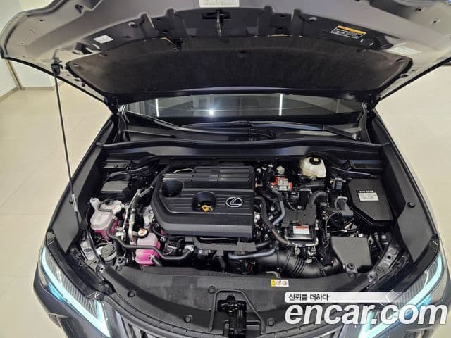 Lexus UX300h 2025 — ფოტო 14/15