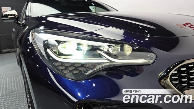 Kia Stinger Meister 2020 — ფოტო 16/30