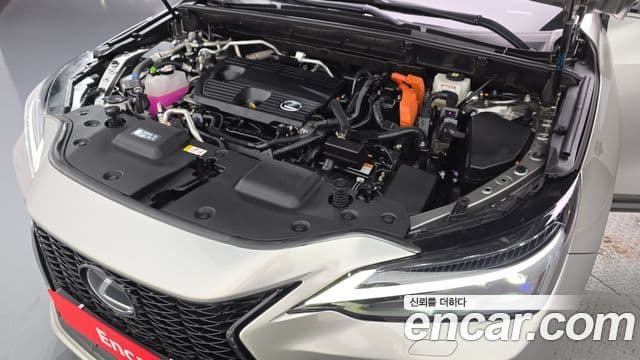 Lexus NX450h+ 2024 — Фото 6/20