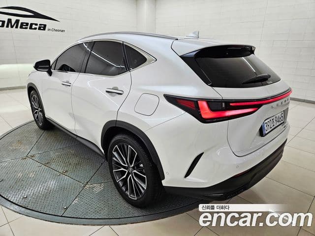 Lexus NX350h 2025 — Фото 3/20