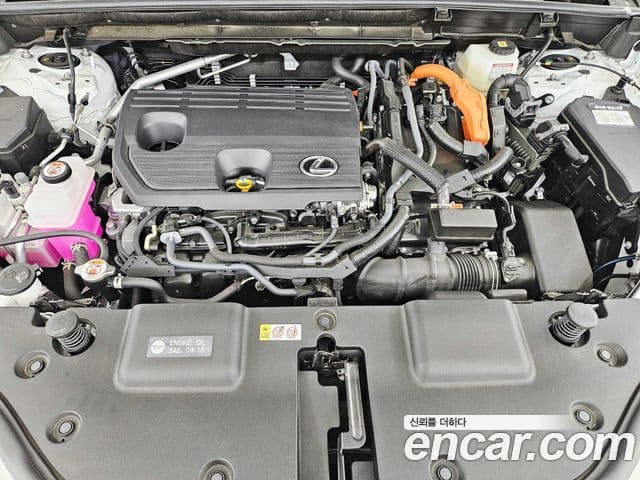 Lexus NX350h 2025 — Фото 5/20