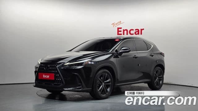 Lexus NX350h 2024 — Фото 20/20