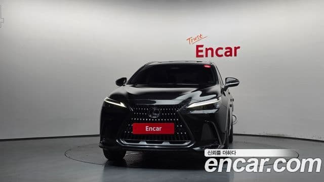 Lexus NX350h 2024 — Фото 2/20