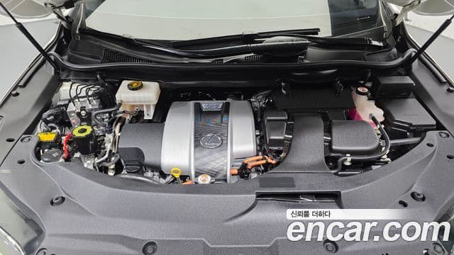 Lexus RX450h 2019 — Photo 19/20