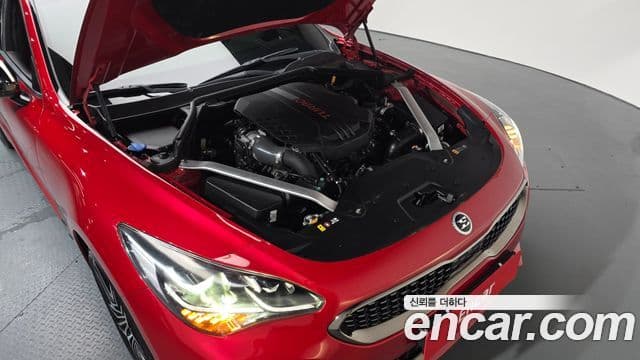 Kia Stinger 2020 — ფოტო 6/20