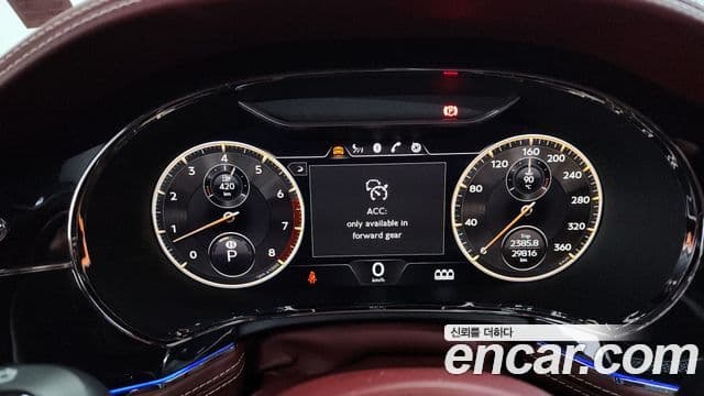 Bentley Flying Spur 2020 — ფოტო 8/20