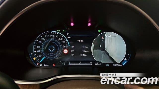 Genesis Electrified G80 2021 — ფოტო 8/20