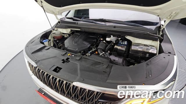 Kia Carnival 2020 — ფოტო 6/20