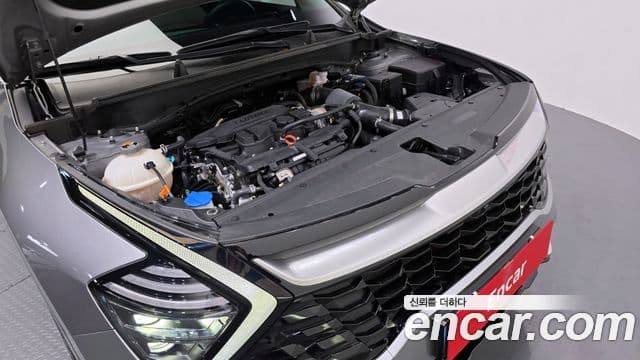 Kia Sportage 2022 — фото 6 из 20