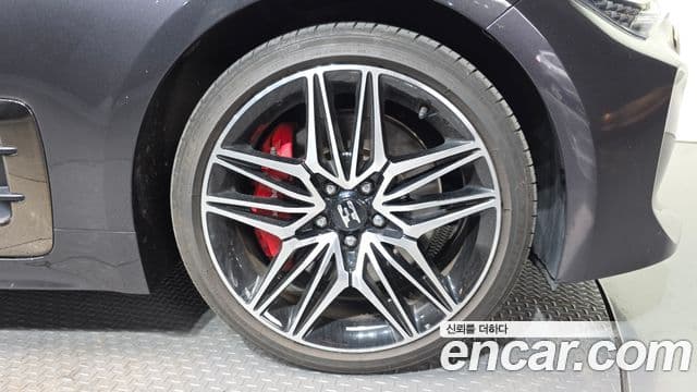 Kia Stinger 2021 — ფოტო 5/20