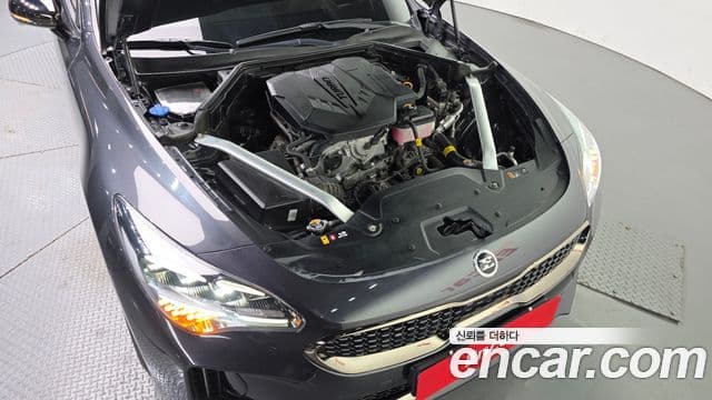 Kia Stinger 2021 — ფოტო 6/20