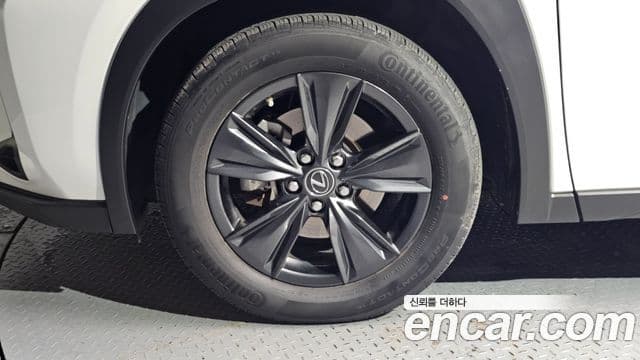 Lexus UX250h 2024 — Şəkil 5/20