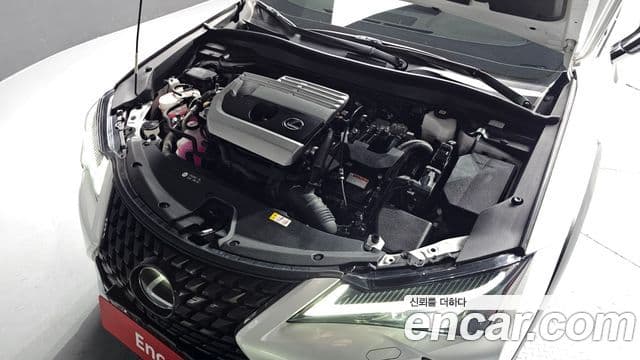 Lexus UX250h 2024 — Şəkil 6/20