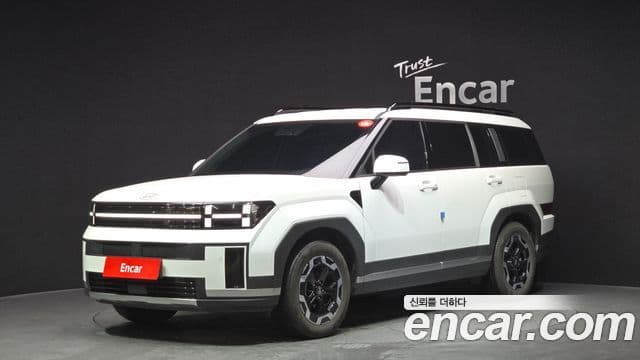 Hyundai Santa Fe 2024 — ფოტო 1/20