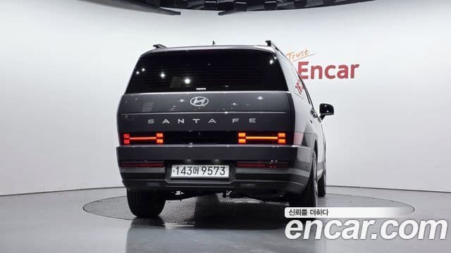 Hyundai Santa Fe 2025 — ფოტო 4/20
