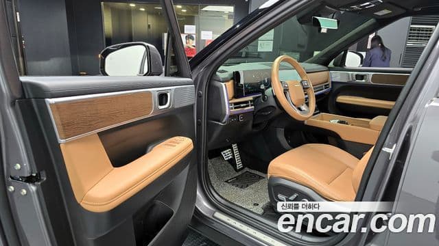 Hyundai Santa Fe 2025 — ფოტო 11/20