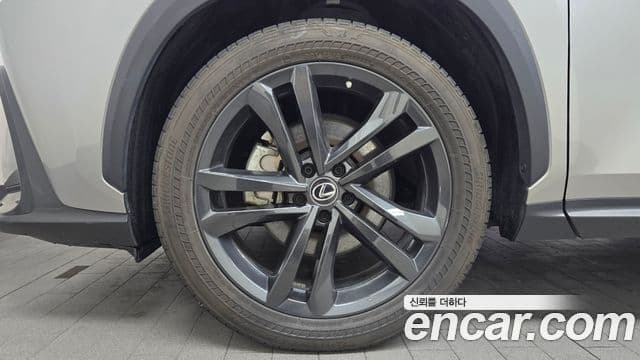 Lexus NX350h 2023 — Şəkil 5/20