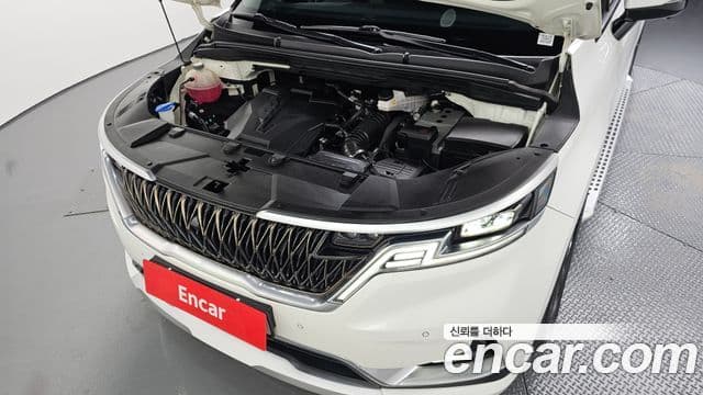 Kia Carnival 2021 — ფოტო 11/20