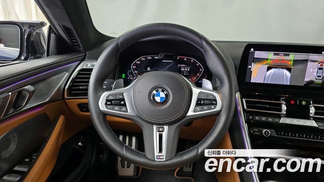 BMW 8 Series 2022 — ფოტო 13/20