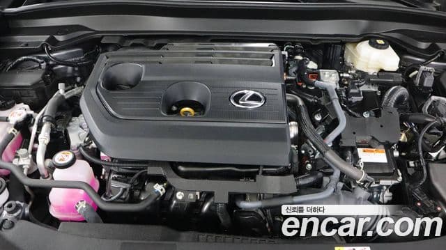 Lexus UX300h 2025 — фото 5 из 16