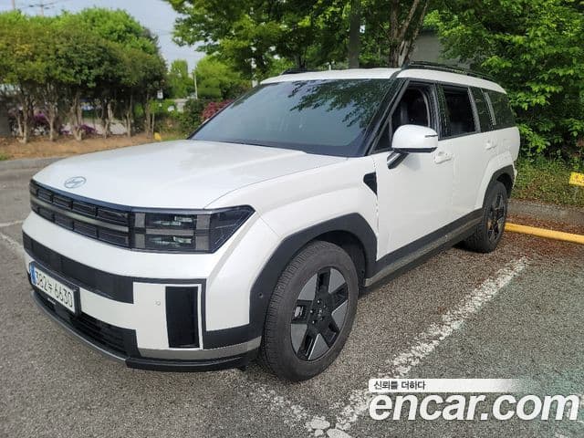 Hyundai Santa Fe 2024 — ფოტო 3/20
