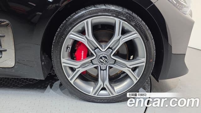 Kia Stinger 2019 — ფოტო 5/20