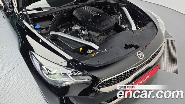 Kia Stinger 2019 — ფოტო 6/20