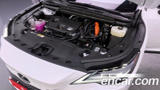 Lexus RX350h 2025 — ფოტო 6/20