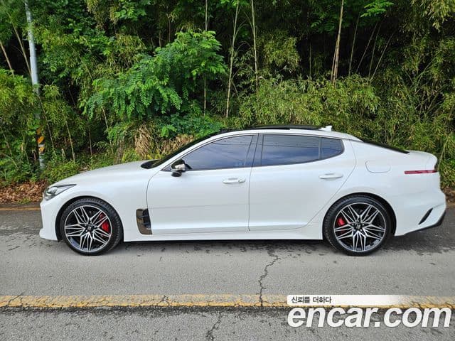 Kia Stinger 2020 — Şəkil 3/20