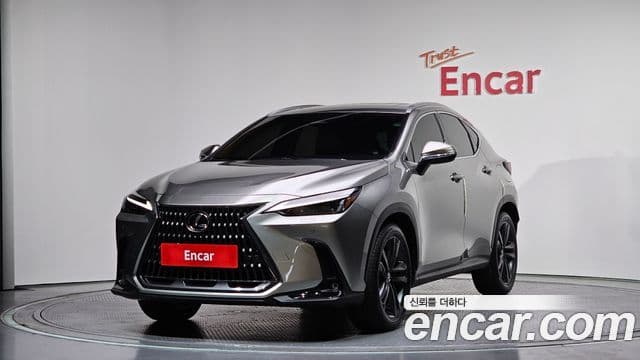 Lexus NX350h 2025 — ფოტო 1/20
