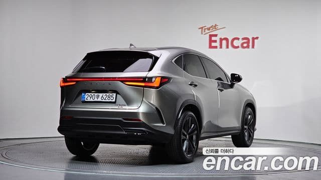 Lexus NX350h 2025 — ფოტო 2/20