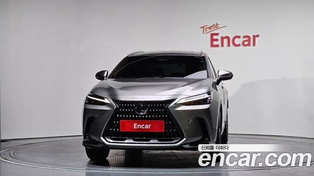Lexus NX350h 2025 — ფოტო 3/20