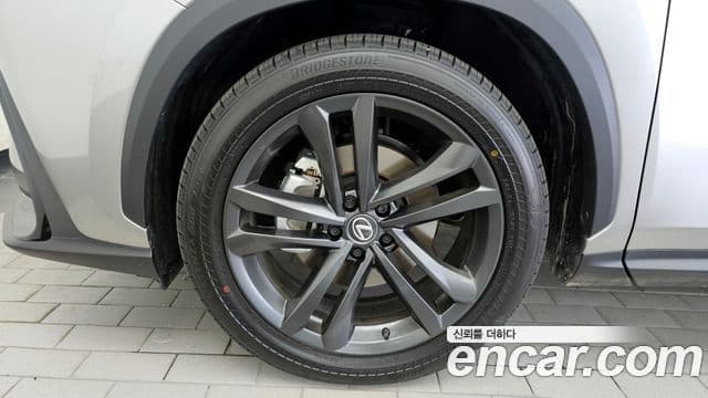 Lexus NX350h 2025 — ფოტო 5/20