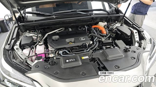 Lexus NX350h 2025 — ფოტო 6/20
