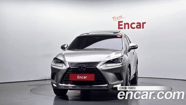 Lexus NX300h 2019 — Photo 5/30