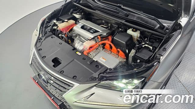 Lexus NX300h 2019 — Photo 15/30