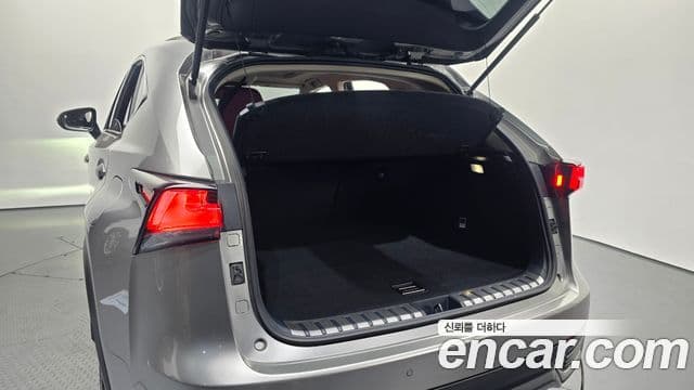 Lexus NX300h 2019 — Photo 25/30