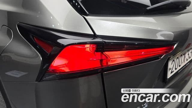 Lexus NX300h 2019 — Photo 8/30