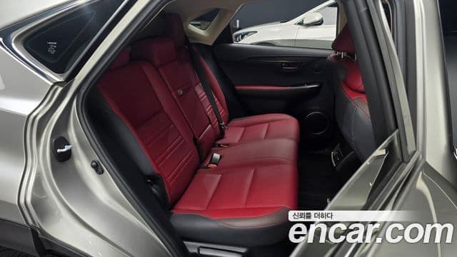 Lexus NX300h 2019 — Photo 17/30